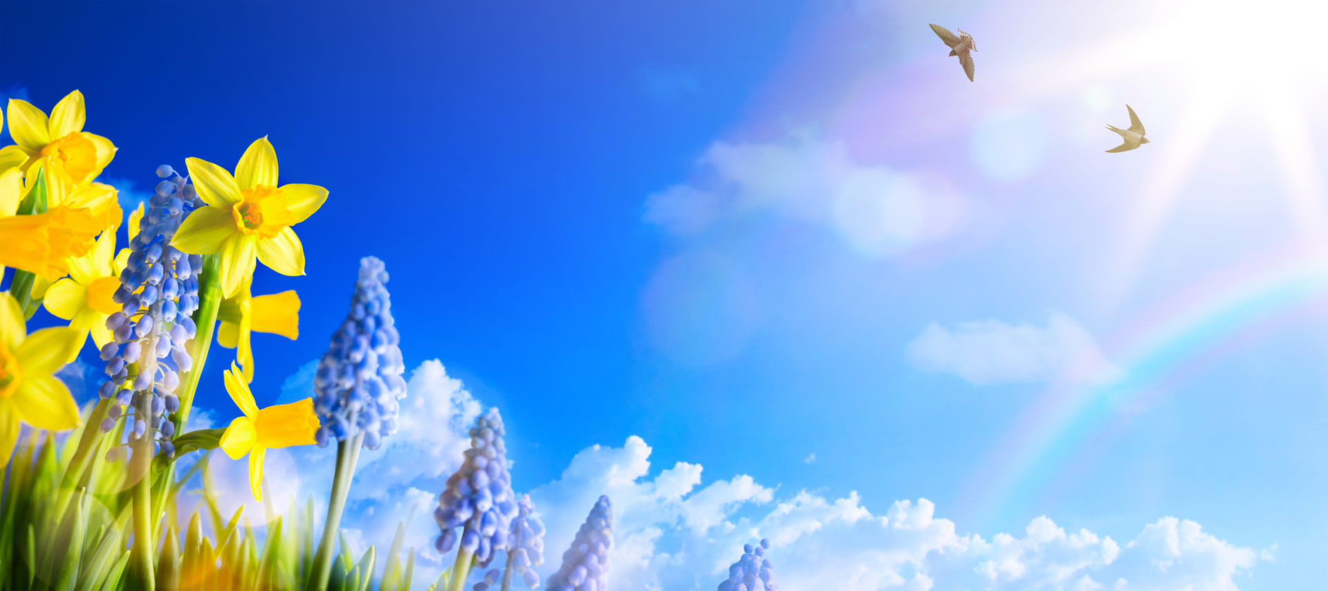 Slide background