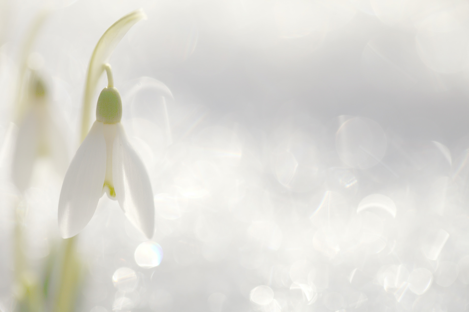 Slide background
