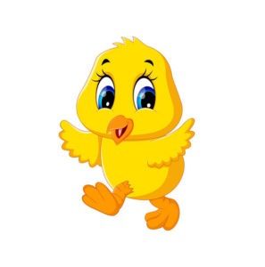  Kuřátka